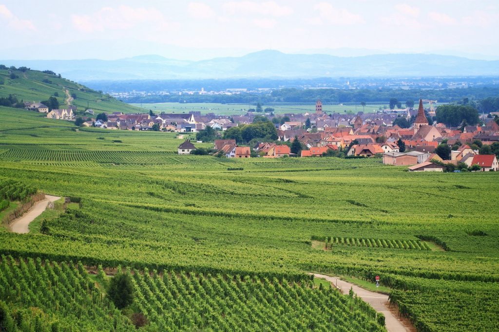 L'Alsace entre vignes et villages, top destination pour un break durant le mois de mai.
