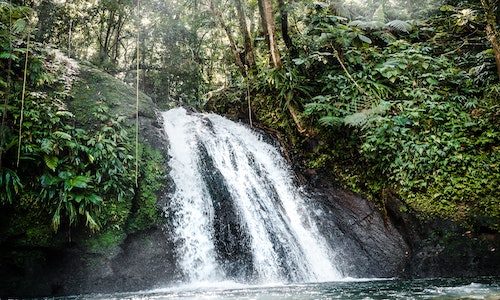 Cascade Guadeloupe