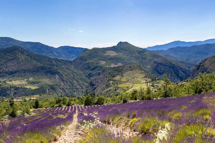 Drôme Provençale paysage